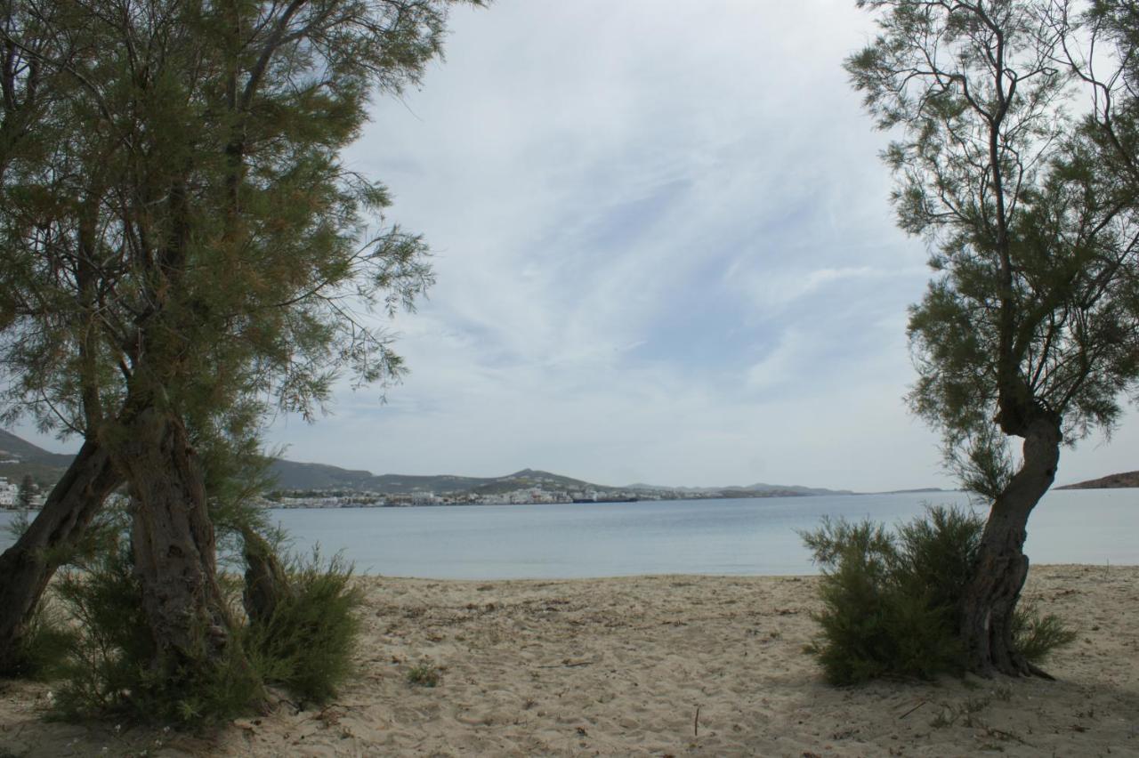 Hotel Eleftheria Parikia  Bagian luar foto